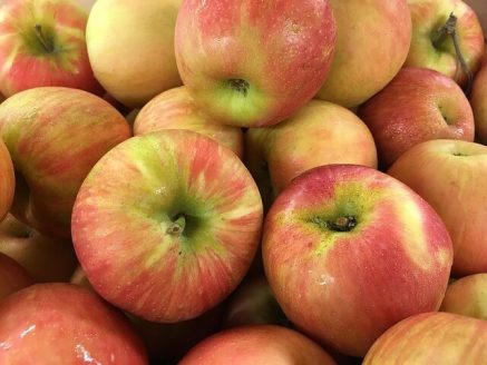 honeycrisp-apples-for-juicing